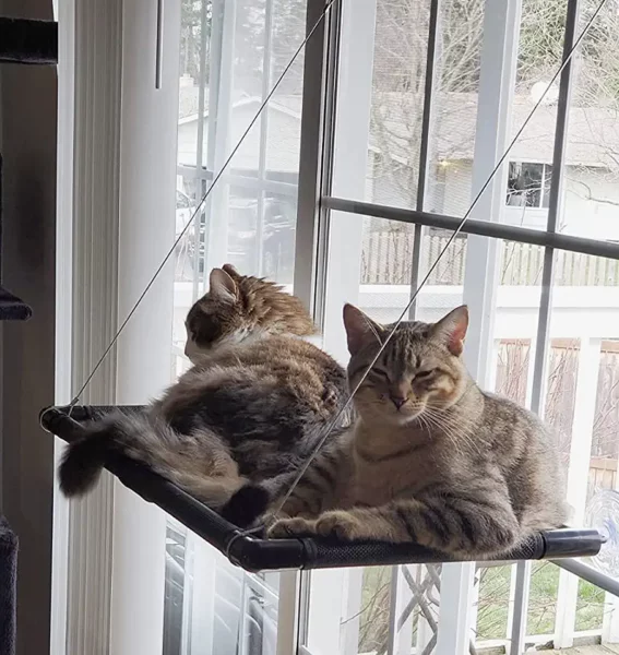 Amaca da finestra per gatti